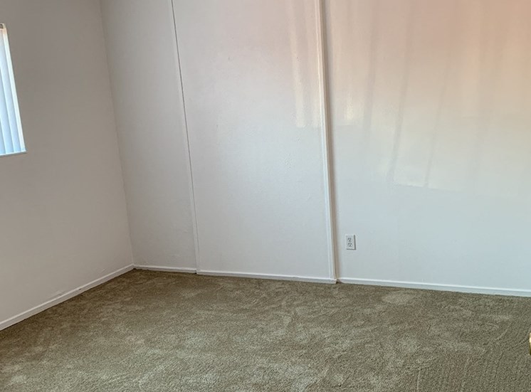 One bedroom room with carpet
